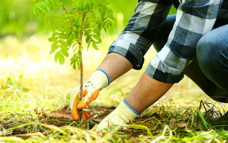 Реалізація