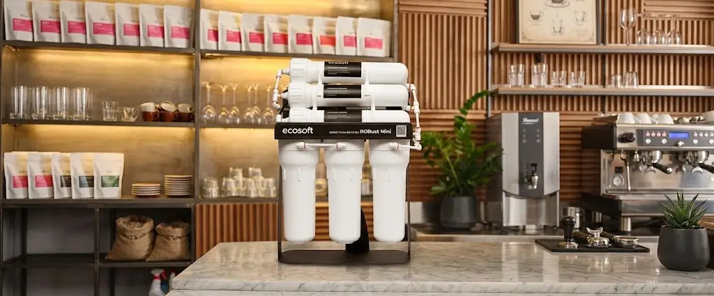 Фильтр обратного осмоса Ecosoft RObust MINI