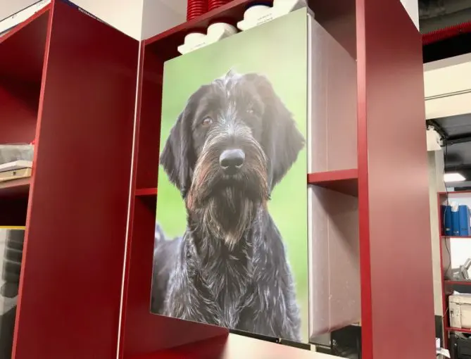 Пример нанесения фото на внешнюю крышку Meltem M-WRG-II E-FC