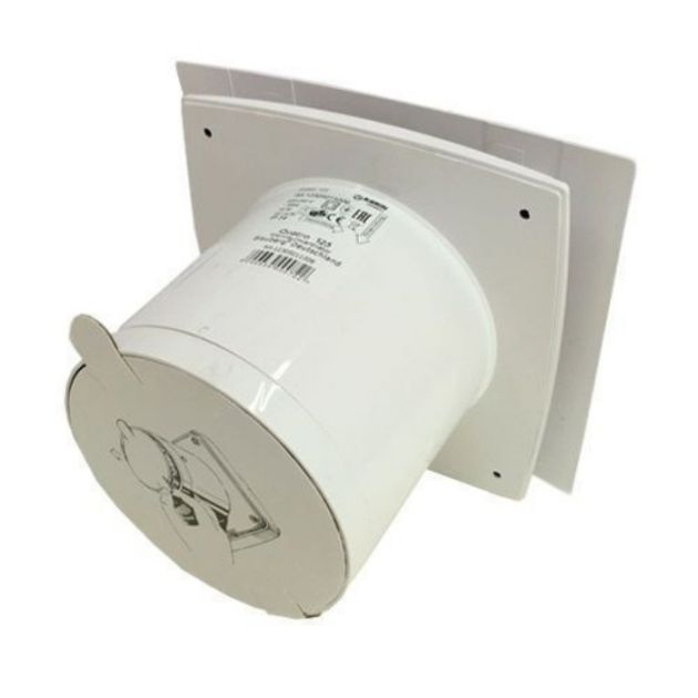 BLAUBERG Quatro 125 вид сзади, фото - 2