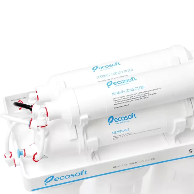 Рабочая система обратного осмоса Ecosoft Standard 6-50M, фото - 2